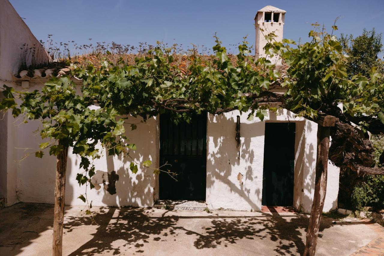 كولمينار Finca Serrato المظهر الخارجي الصورة