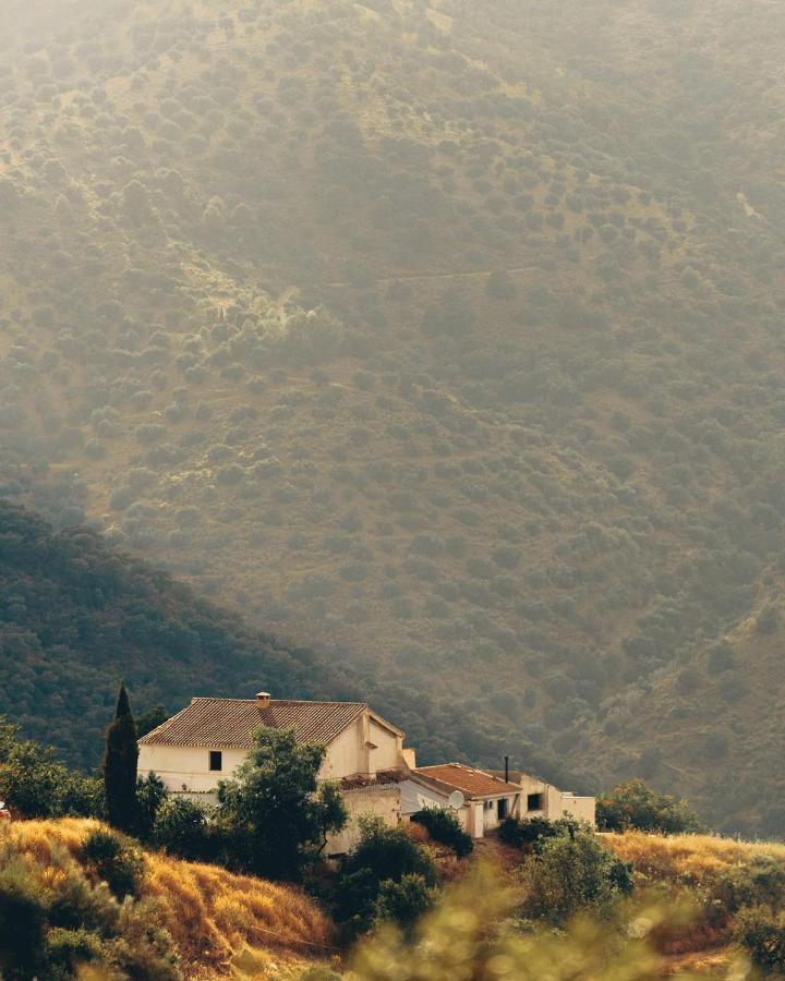 كولمينار Finca Serrato المظهر الخارجي الصورة