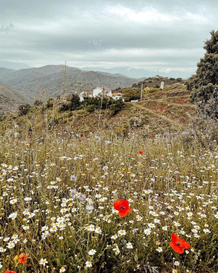 كولمينار Finca Serrato المظهر الخارجي الصورة