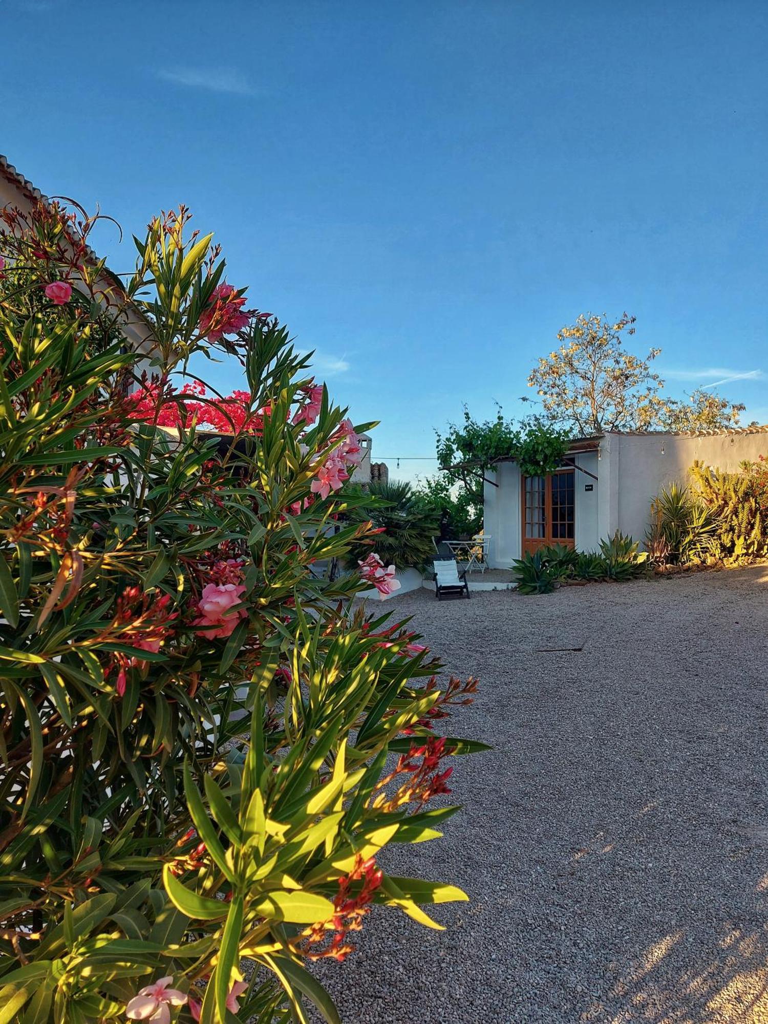 كولمينار Finca Serrato المظهر الخارجي الصورة