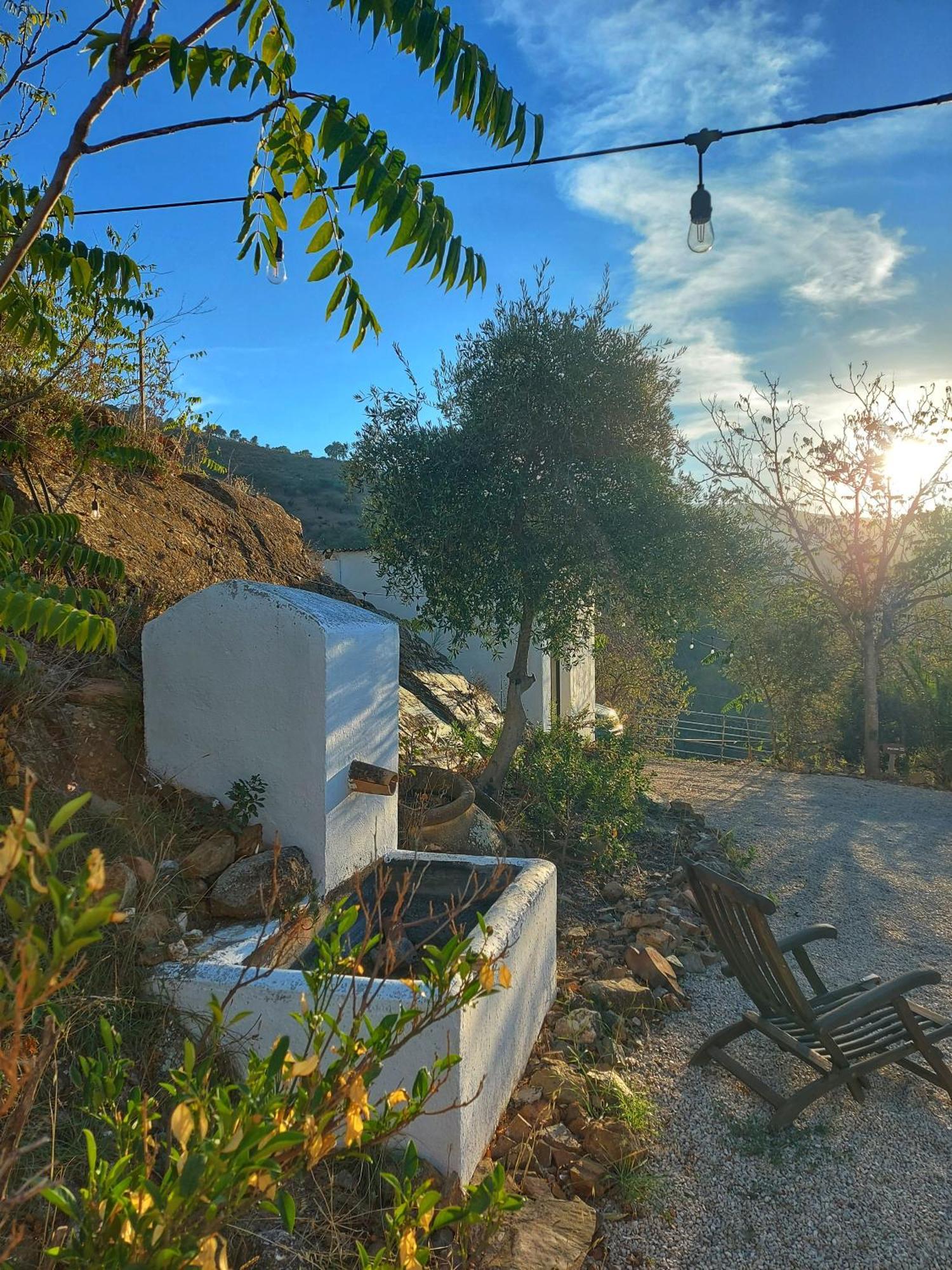 كولمينار Finca Serrato المظهر الخارجي الصورة